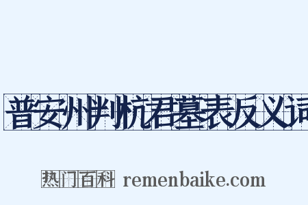 普安州判杭君墓表反义词是什么意思的图片